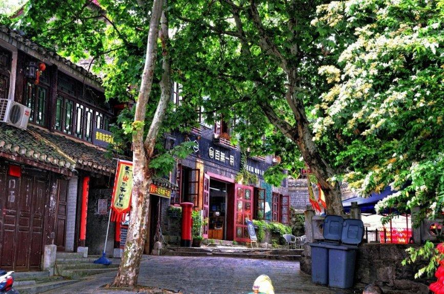 杨紫的剧一天160亿,网友水库开闸了